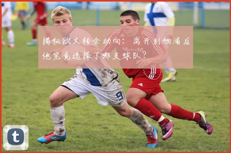 揭秘欧文转会动向：离开利物浦后他究竟选择了哪支球队？