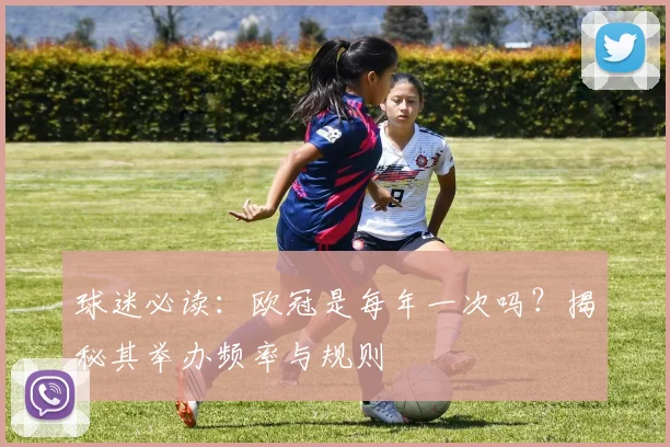 球迷必读：欧冠是每年一次吗？揭秘其举办频率与规则